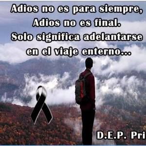 Meet your Posher, Flor